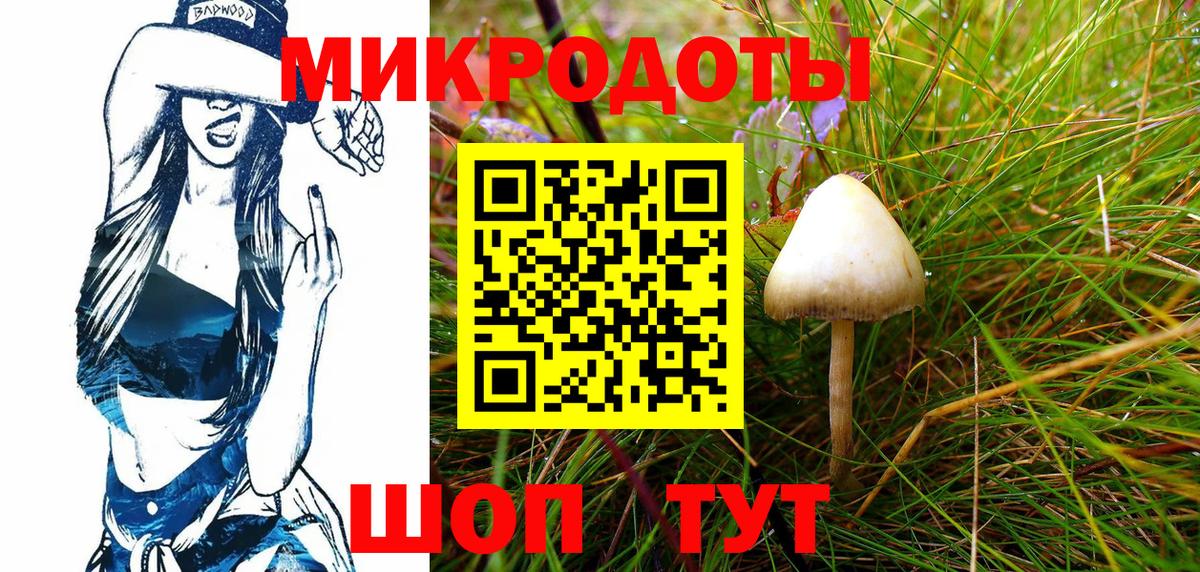 Псилоцибиновые грибы мухоморы Сочи